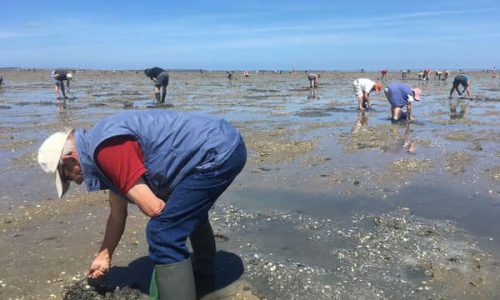 Communication de la Mairie : la pêche à Villers-sur-Mer, quels sont vos droits en tant que particuliers ?