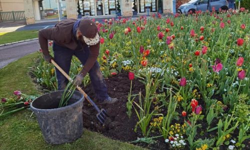 La Mairie à votre service : le service espaces verts de notre ville est intervenu cette semaine aux 4 coins de la ville