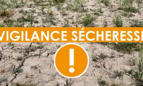 ENVIRONNEMENT : arrêté préfectoral déclenchant le seuil de vigilance sécheresse