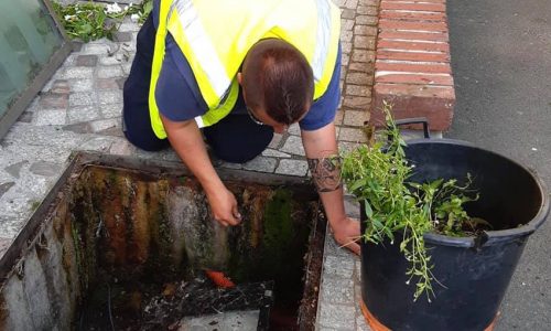 LA MAIRIE A VOTRE SERVICE : nos équipes s’occupent de nos espaces verts