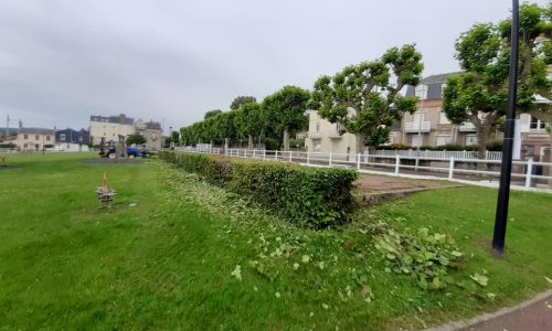 LA MAIRIE A VOTRE SERVICE : nos équipes s’occupent de nos espaces-verts.                                                              Aidez-les!