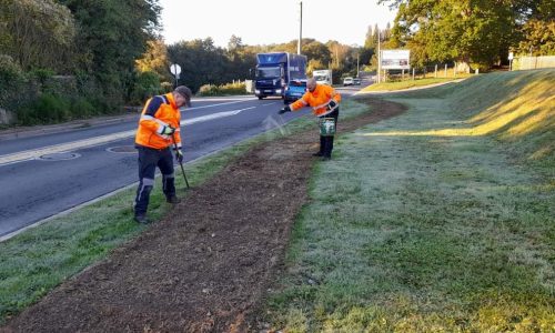 TRAVAUX : interventions de notre service « espaces-verts »