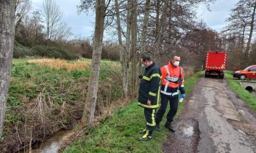 MARAIS : le site du Marais fait actuellement l’objet d’une pollution aux hydrocarbures