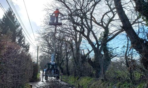 LA MAIRIE A VOTRE SERVICE : intervention d’urgence de nos services-verts cette après-midi