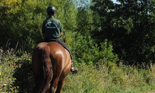 ENVIRONNEMENT : la « Brigade verte » de surveillance de notre marais va reprendre du service