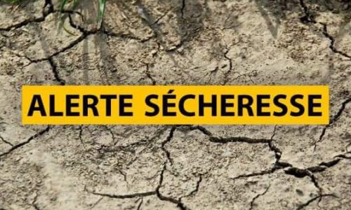 ARRÊTÉ PRÉFECTORAL : mesures anti-sécheresse