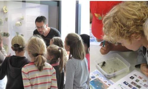 PALÉOSPACE : la période des voyages scolaires bat son plein au Paléospace !