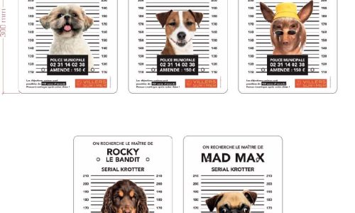 PROPRETÉ : nous allons aider les propriétaires de chiens à trouver nos distributeurs de sacs à déjections canines