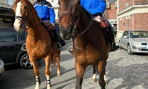 SÉCURITÉ : la Garde Républicaine était à Villers-sur-Mer aujourd’hui !