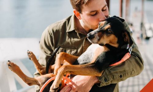 Et si vous preniez la pose avec votre animal ?