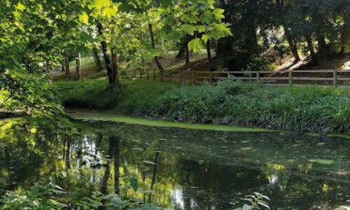 Alerte météo | Le parc San Carlo fermé au public