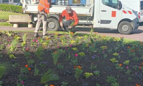 La mairie à votre service | Ville, plage et digue se font belles