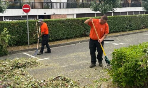 La mairie à votre service | Tailler, entretenir, désherber