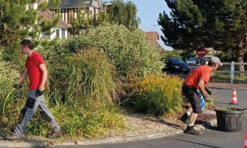 La mairie à votre service | Un été studieux