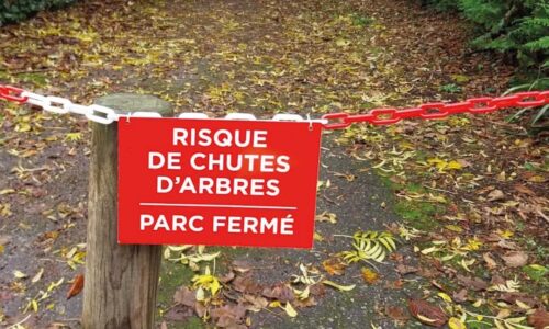 Alerte météo | Le parc San Carlo fermé au public